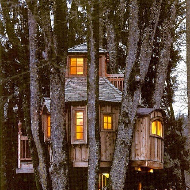 Treehouses_13