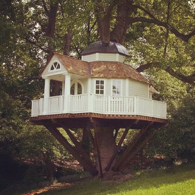 Treehouses_15