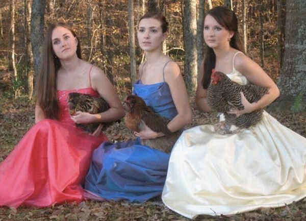 embarrassing-prom-photos-chickens