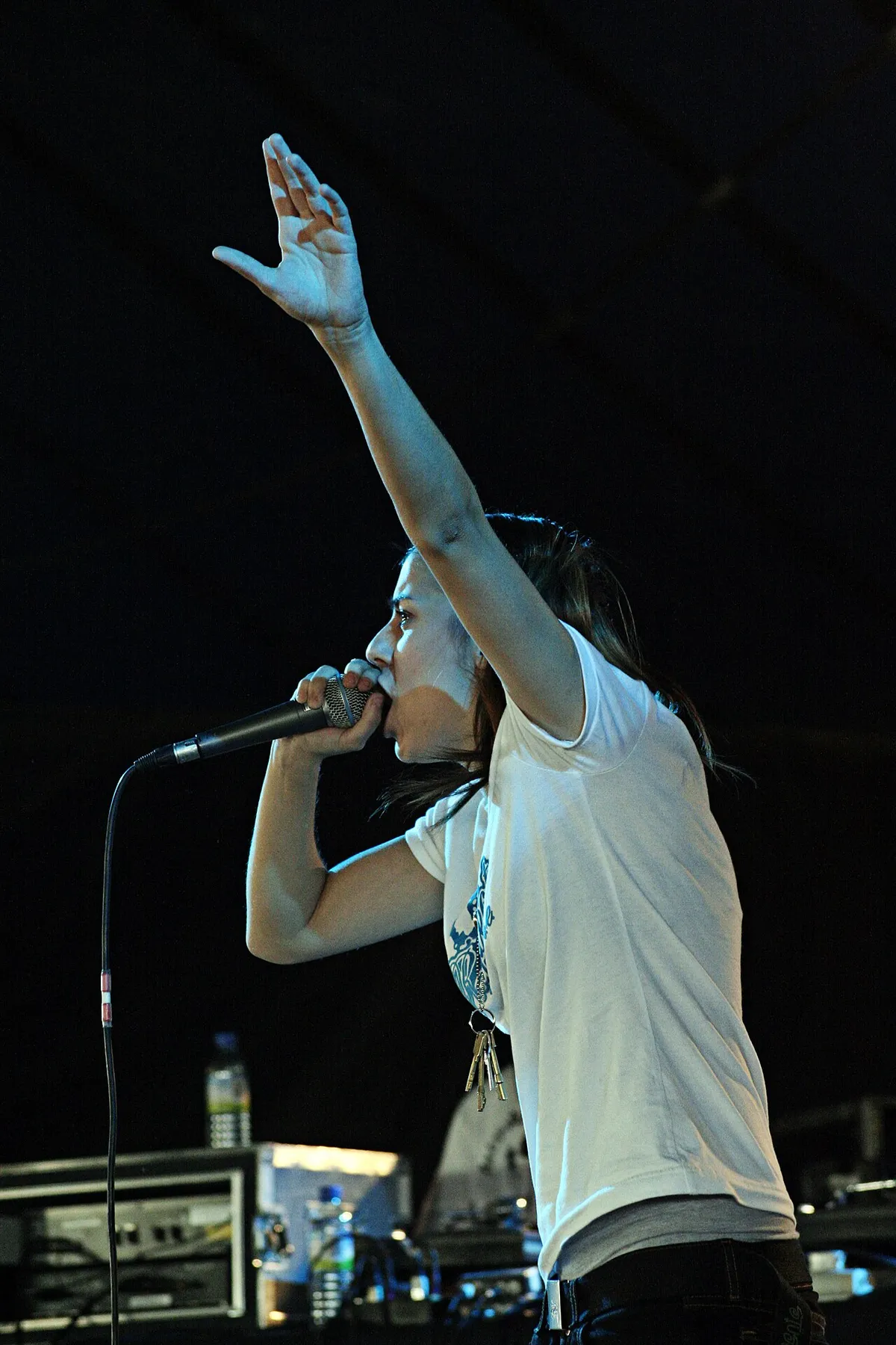 Lady Sovereign performing at Reading Festival in 2006