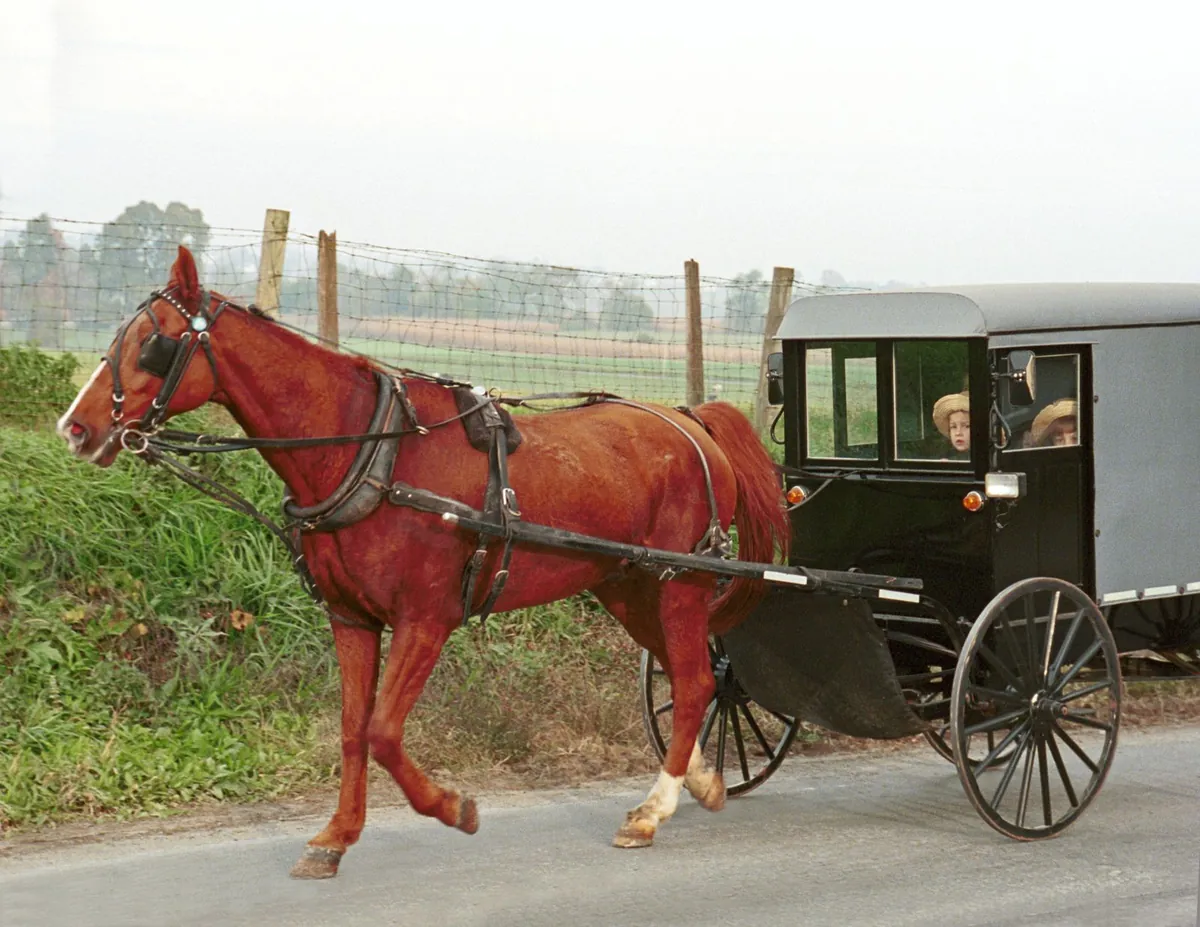 Amish horse and buggy on a rural road in Lancaster County, Pennsylvania