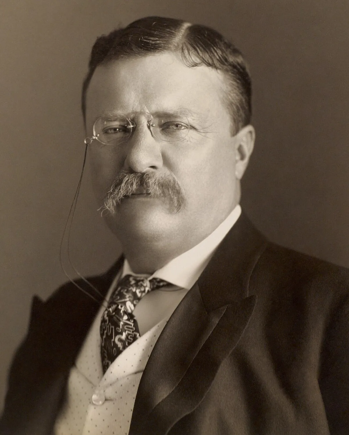 Theodore Roosevelt photographed by the Pach Brothers in 1904