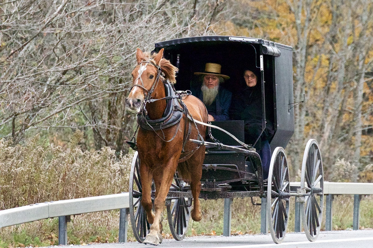 web-amish-usa-people-carriage-horse-teddy-llovet-cc-min.jpg